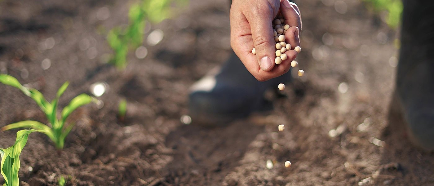Πληρωμή για σπόρους σποράς και πρωτεϊνούχα κτηνοτροφικά ψυχανθή