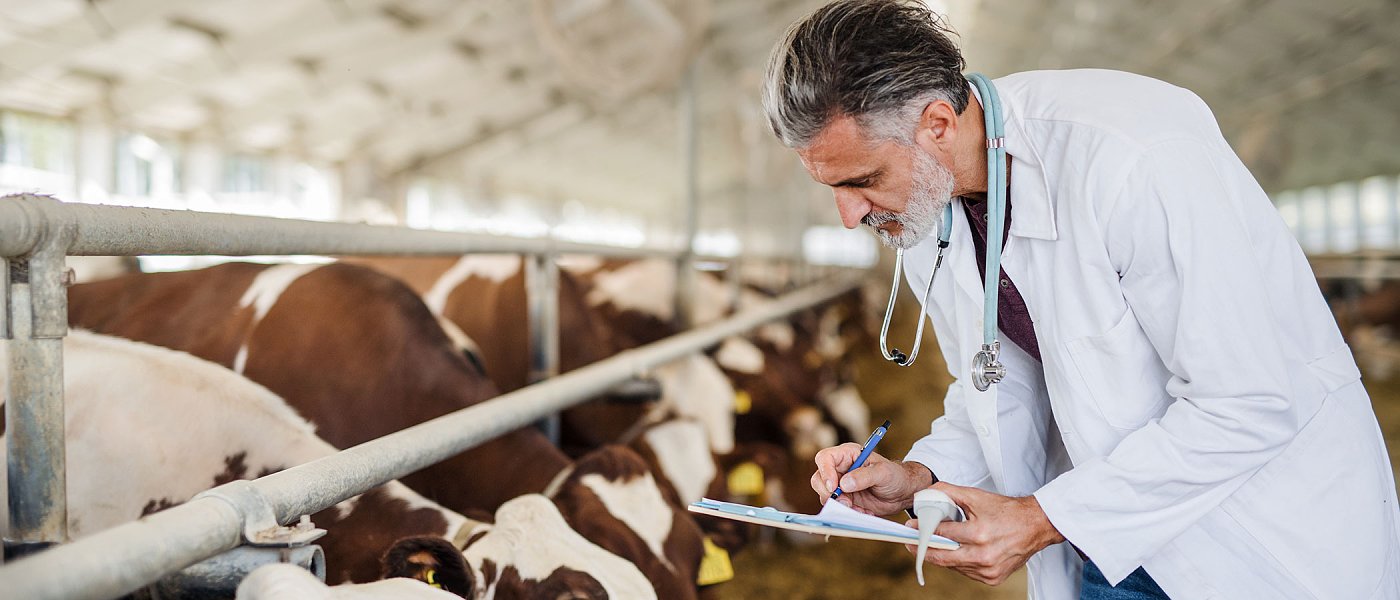 Όλοι οι υπάλληλοι του ΟΠΕΚΕΠΕ πάνε στην ΑΑΔΕ, συνεχίζονται οι έλεγχοι λίγο πριν τις πληρωμές