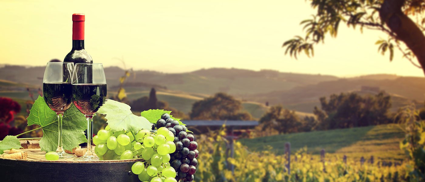 Προσπάθεια να αναπτυχθεί ο οινοτουρισμός και άλλες μορφές θεματικού τουρισμού