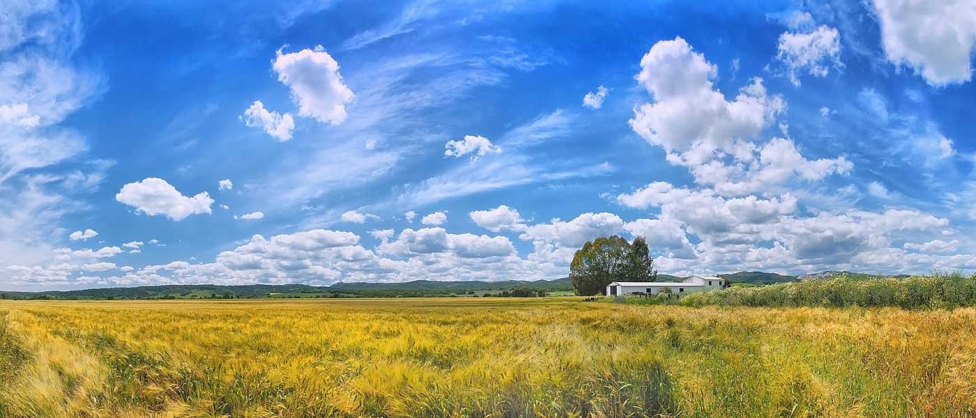 Μέτωπο Κρητικών κατά δασικών χαρτών, απόσυρση ζητούν αγρότες και κτηνοτρόφοι