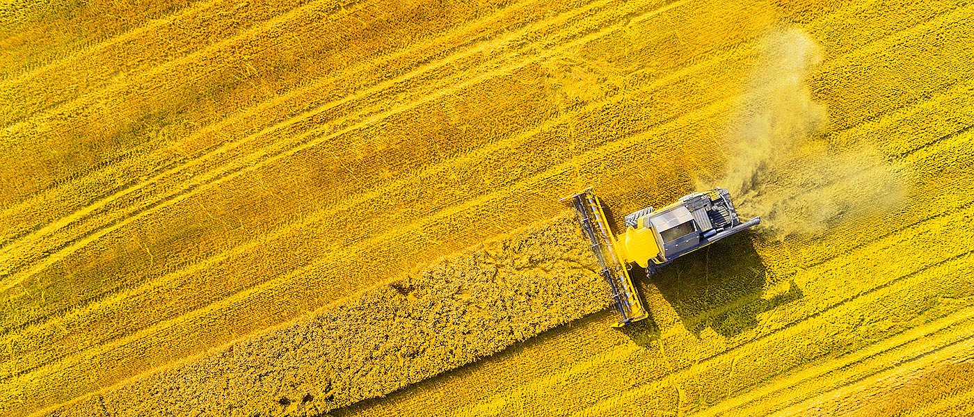 Επιστολή ΠΑΣΚΕΦ σε Γεωργαντά, Σκρέκα για οικολογικά σχήματα και κατανομή βιοντίζελ
