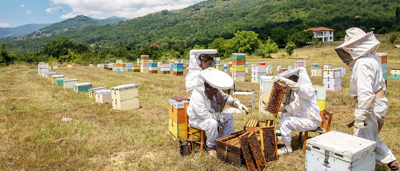Πάνε μπιλετάκια στους μελισσοκόμους να πληρώσουν την πιστοποίηση για τα βιολογικά που ακύρωσε ο Τσιάρας