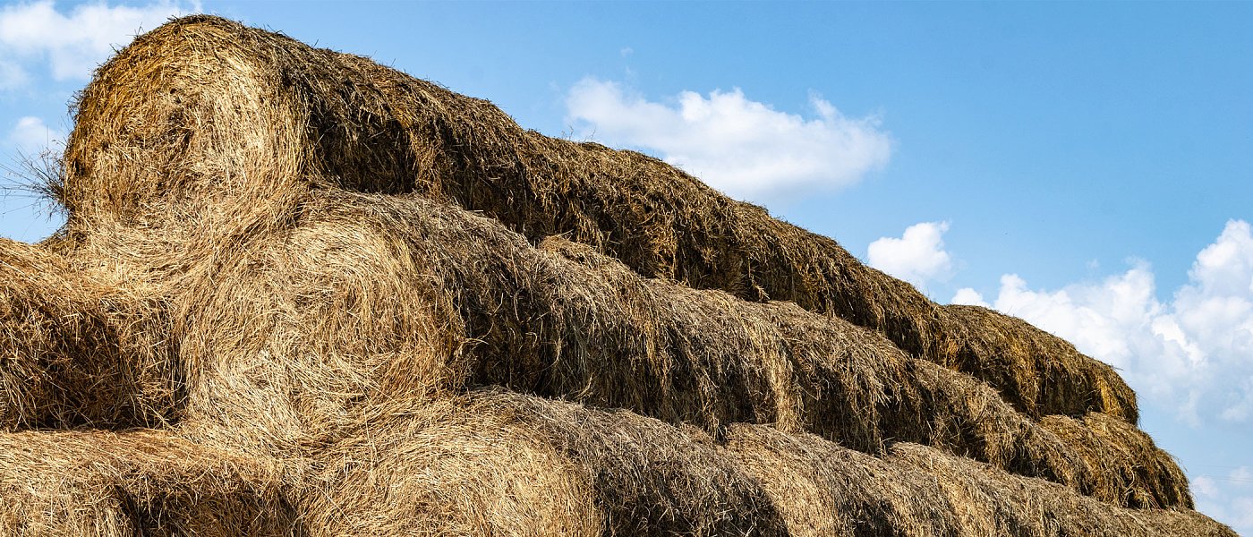 Στα 2,14 εκατ. ευρώ τα de minimis ενίσχυσης για μηδική και βιομηχανική τομάτα