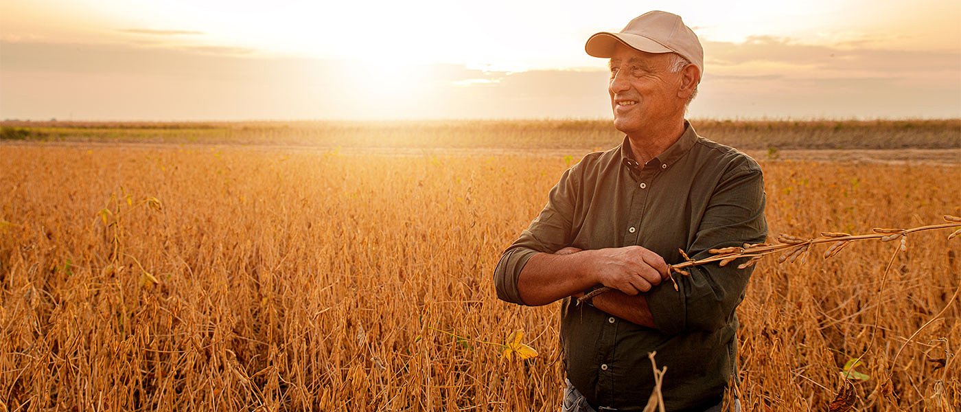 Με ΟΣΔΕ αντικατάσταση καλλιεργειών από χειμερινά σιτηρά και ψυχανθή, ύψος ενίσχυσης