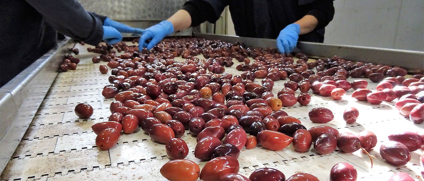 Καλαμών: Ξεστοκάρισμα, ελαιοποίηση και άνοιγμα εστίασης αλλάζουν το τοπίο