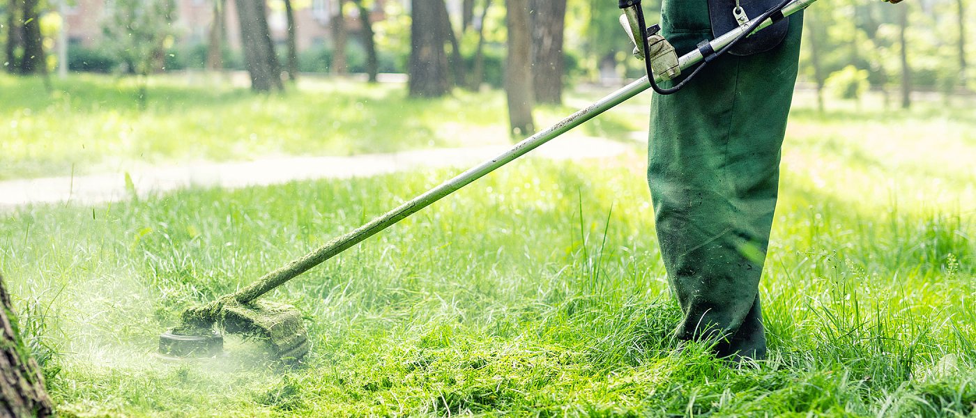 Ξεκινούν οι υποχρεωτικοί καθαρισμοί οικοπέδων, έρχονται τσουχτερά πρόστιμα αν δεν γίνουν ή αν δεν δηλωθούν
