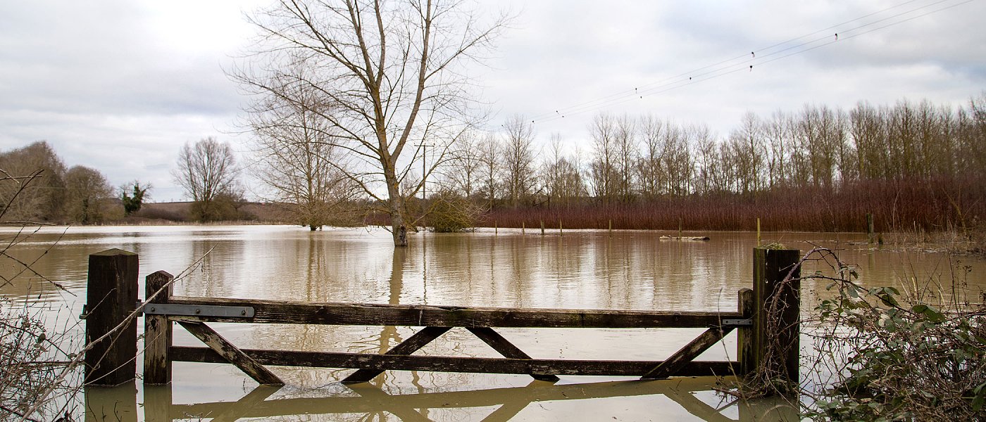 Έγινε πληρωμή από ΕΛΓΑ της προκαταβολής για ζημιές στο Φυτικό Κεφάλαιο