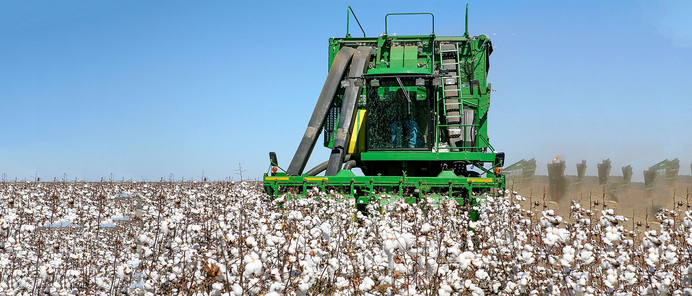 Στην χειρότερη περίοδο για το βαμβάκι ήρθαν οι βροχές, γκρεμίστηκε η τιμή στα 37 λεπτά