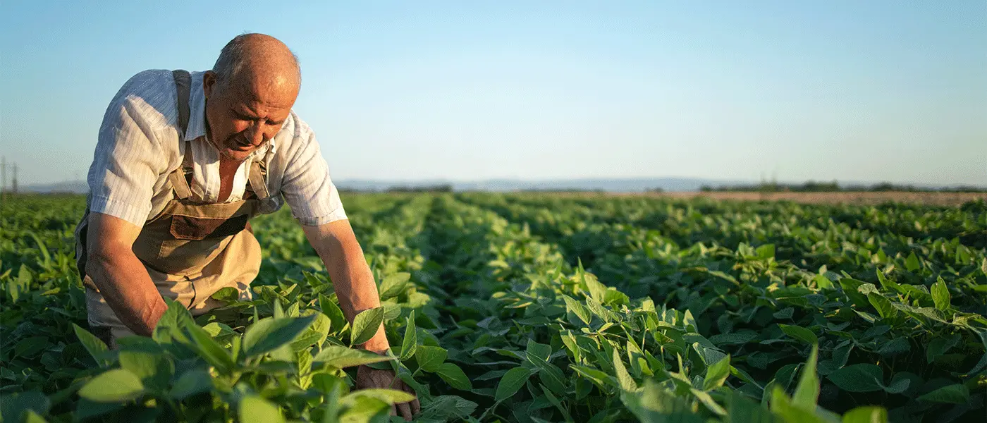 Ένταξη 6.390 αγροτών για την επιδότηση πιστοποίησης βιολογικών