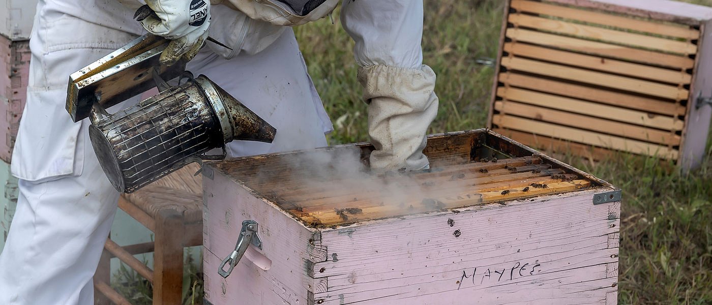 Η απαγόρευση κυκλοφορίας στα δάση, χαριστική βολή για την εγχώρια μελισσοκομία