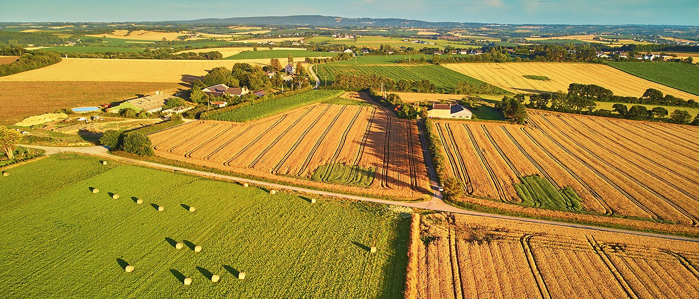 Σε αναζήτηση ανάδοχου για νέα ΚΑΠ ο ΟΠΕΚΕΠΕ αλλά ... μπορεί να τρέξει το ΟΣΔΕ;