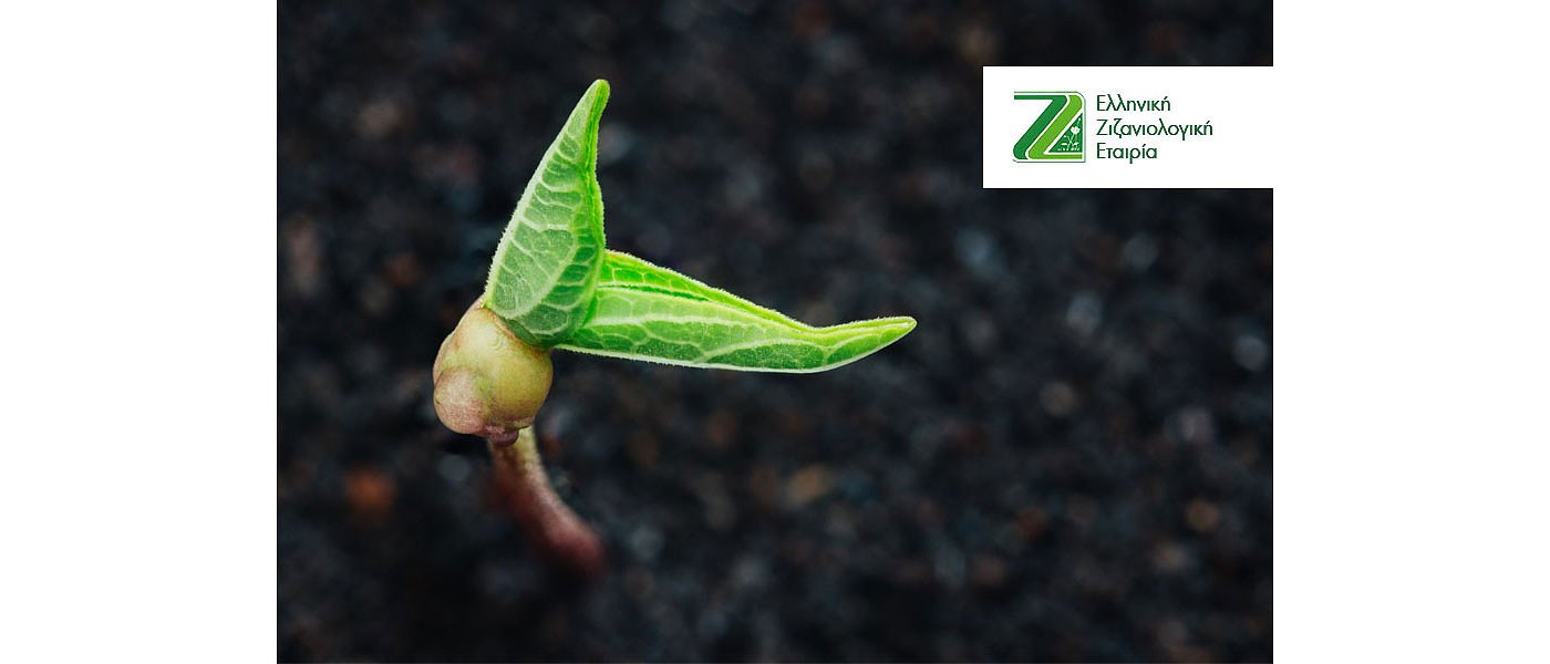 Από 9 έως 11 Μάη 2023 το 21ο Πανελλήνιο Συνέδριο της ΕΖΕ