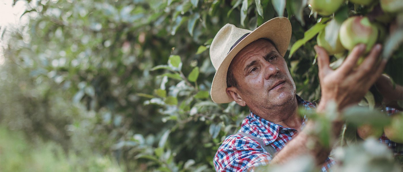 Προσλαμβάνει ο ΕΛΓΑ 140 γεωπόνους για να τρέξει τις εκτιμήσεις των ζημιών λόγω παγετού