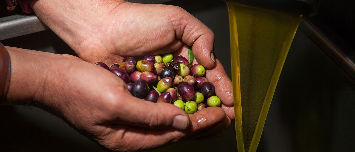 Ελαιόλαδο: Διόρθωση τιμών θέλουν να κάνουν οι έμποροι, ο «μύθος» της ακριβής κατανάλωσης