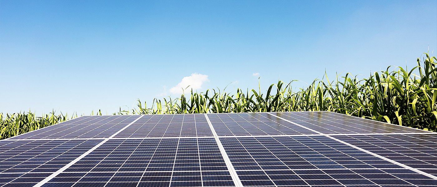 Βοσκοτόπια στο στόχαστρο εταιρειών, τα φωτοβολταϊκά εκτοπίζουν την κτηνοτροφία