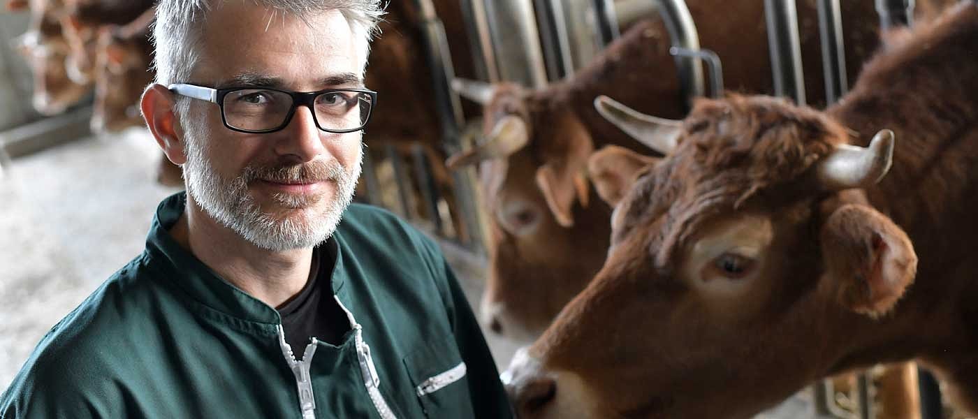 Οι συνδεδεμένες στα βοοειδή με τη νέα ΚΑΠ 2023-2027