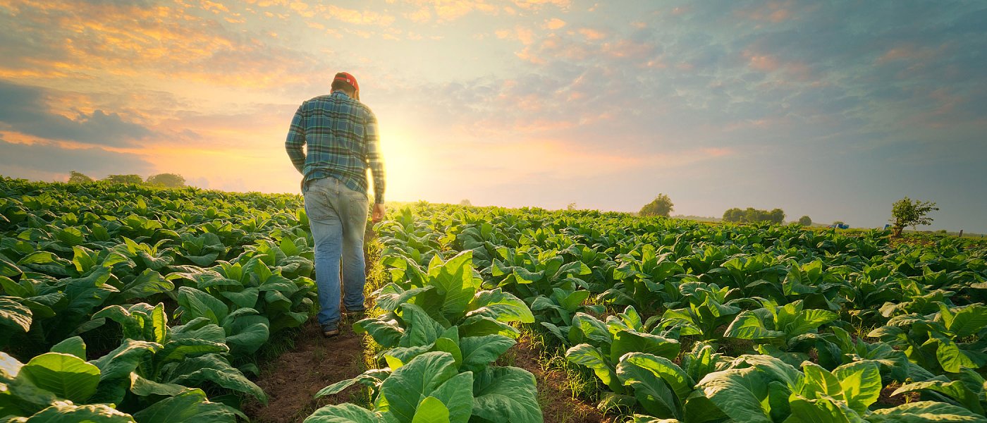 Έπιασαν κύκλωμα εκμετάλλευσης αλλοδαπών εργατών γης, ξεκινά διαδικασία μετάκλησης εργατικού δυναμικού από Αίγυπτο