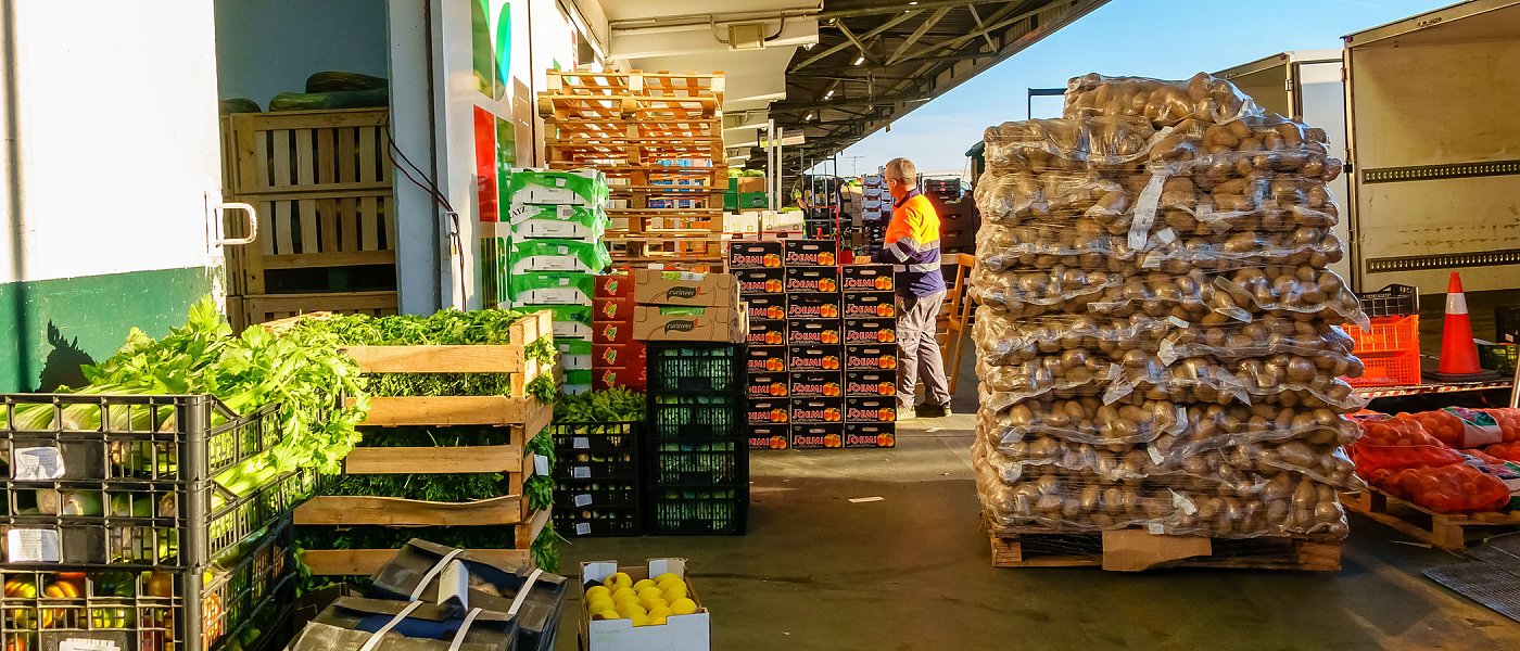 ΟΚΑΑ Α.Ε.: Ο Στέφανος Βαφείδης νέος πρόεδρος και ο Νίκος Λυμπέρης αναλαμβάνει Διευθύνων Σύμβουλος