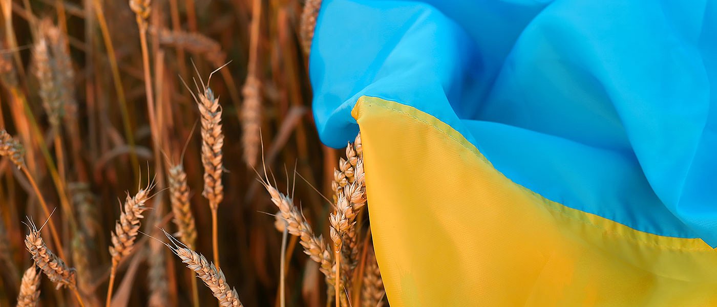 Oι εισαγωγές από Ουκρανία φέρνουν πτώση στις τιμές μαλακού σίτου και κριθαριού