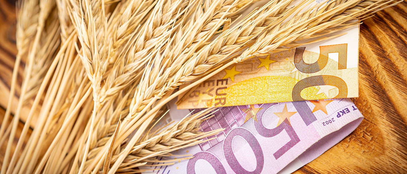 Θέλει πολιτική απόφαση για να «τρέξει» πρόγραμμα ad hoc σε παραγωγούς σιτηρών, συνολικού ύψους 77 εκ. ευρώ