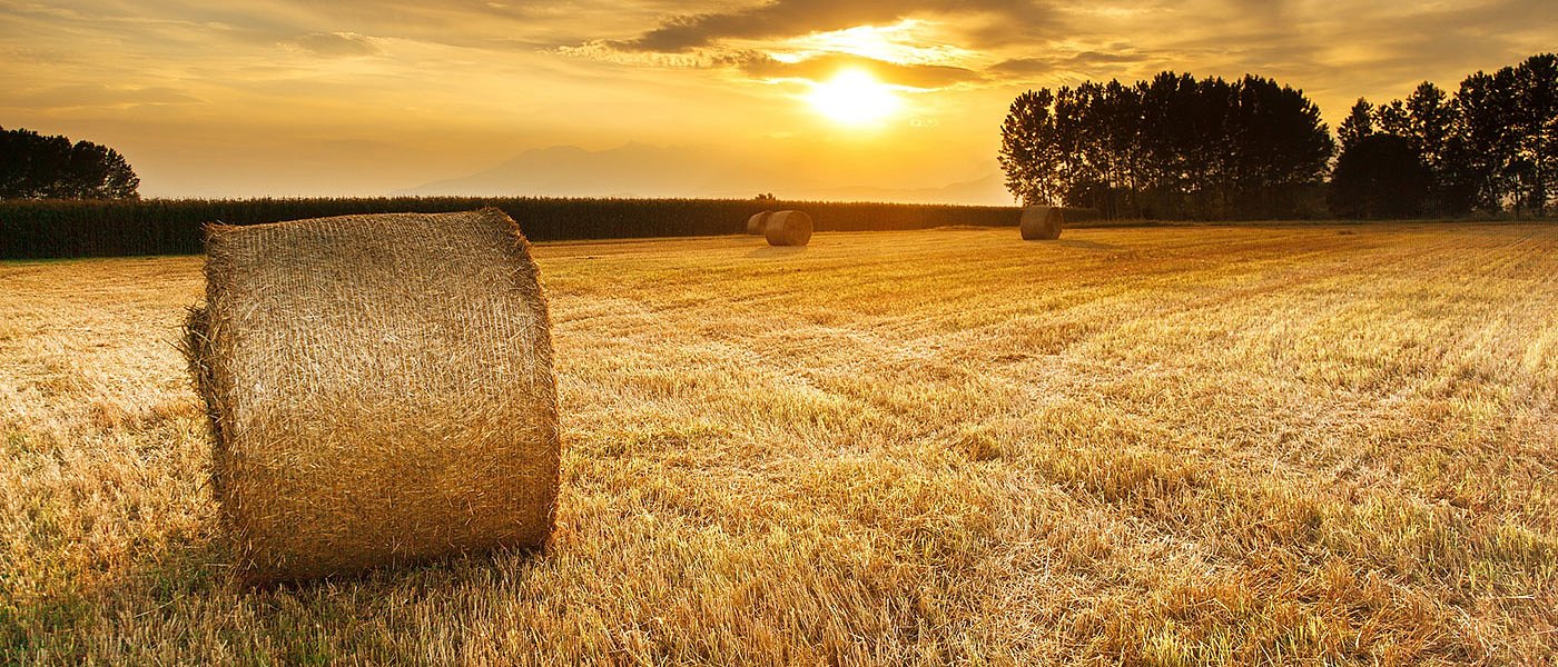ΠΟΓΕΔΥ για ΟΣΔΕ και Βοσκότοποι: Μήπως είναι πολύ αργά για τα «κροκοδείλια» δάκρυα;