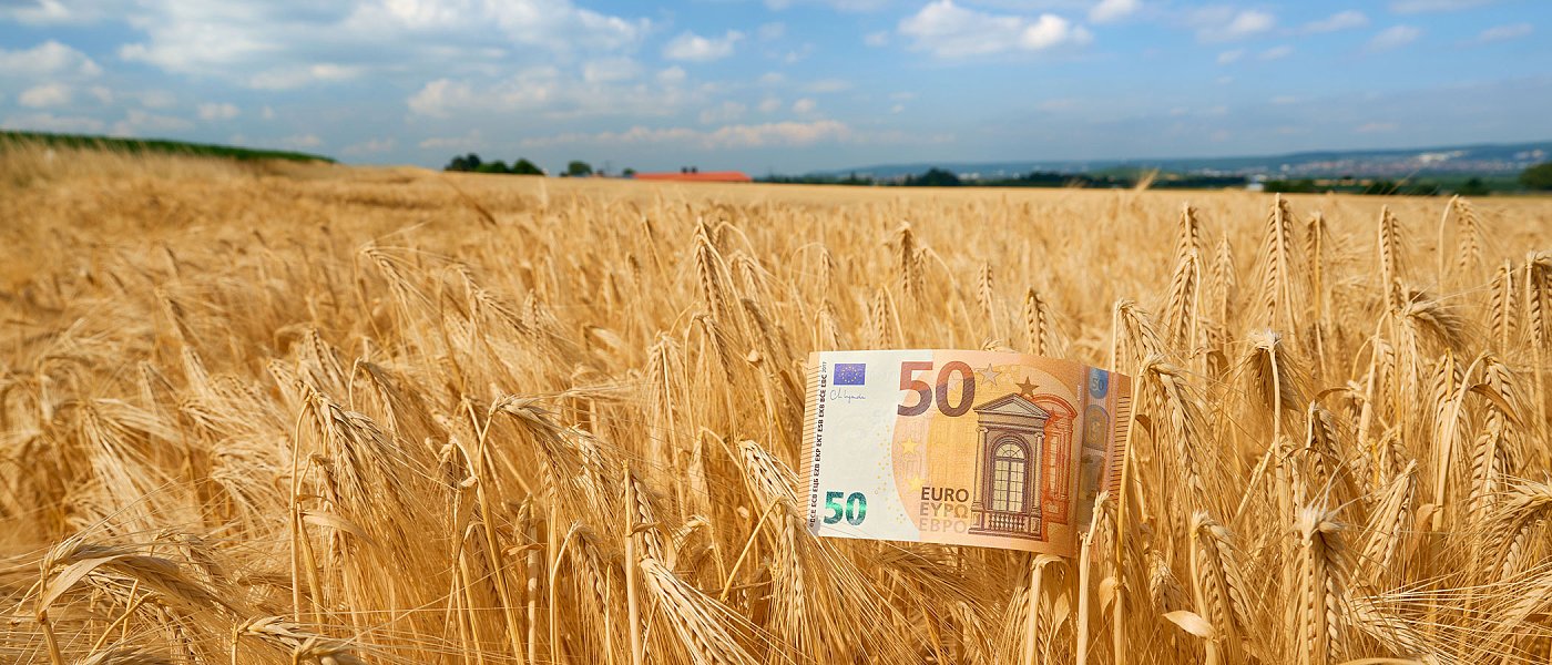 Τις πληρωμές Νοεμβρίου ανακοίνωσε ο Κέλλας, αφορούν προκαταβολή τσεκ, ΕΦΚ πετρελαίου, αποζημιώσεις ΕΛΓΑ και Μέτρο 23