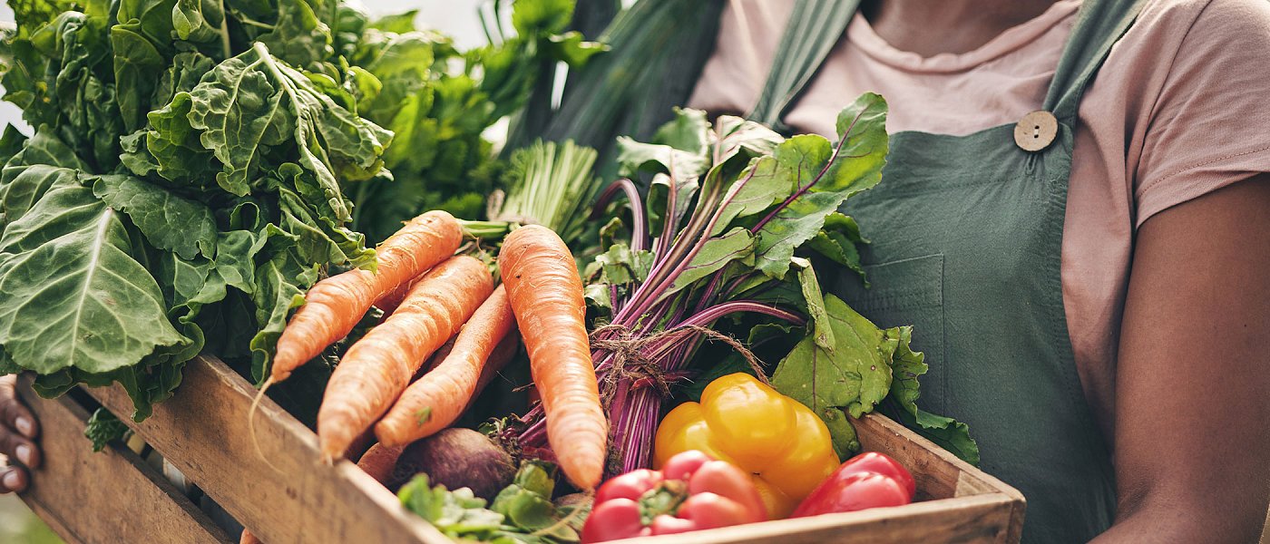 Καταγγελίες για απλήρωτα Επιχειρησιακά Προγράμματα Οπωροκηπευτικών του 2025