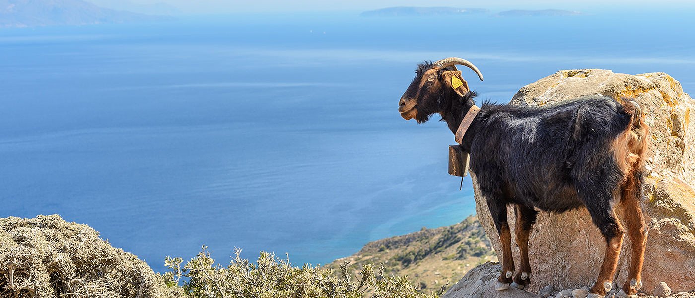 Τροποποίηση στις αυτόχθονες φυλές φέρνει δυνατότητα παράτασης