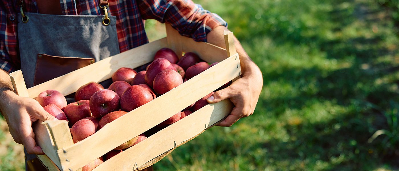 Μετά τα πρόστιμα για μαύρη εργασία έρχεται και ο κόφτης ενισχύσεων λόγω «κοινωνικής αιρεσιμότητας»