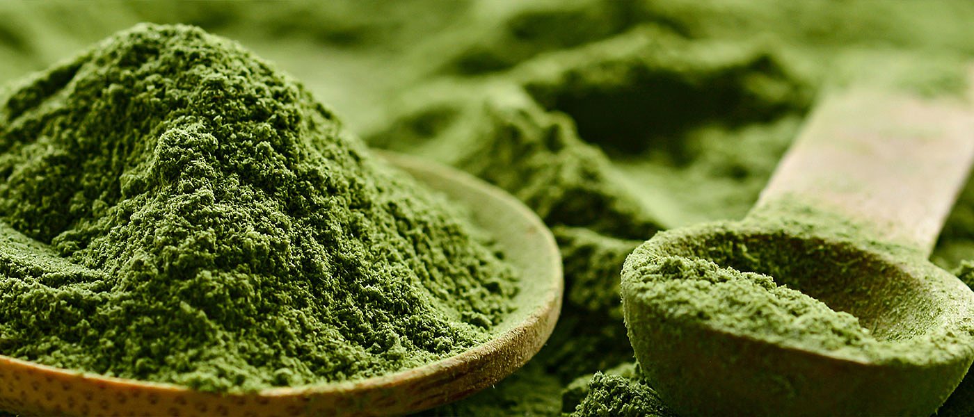 Επένδυση 18 εκατομμυρίων ευρώ για καλλιέργεια φυτοπλαγκτού στην Ελλάδα