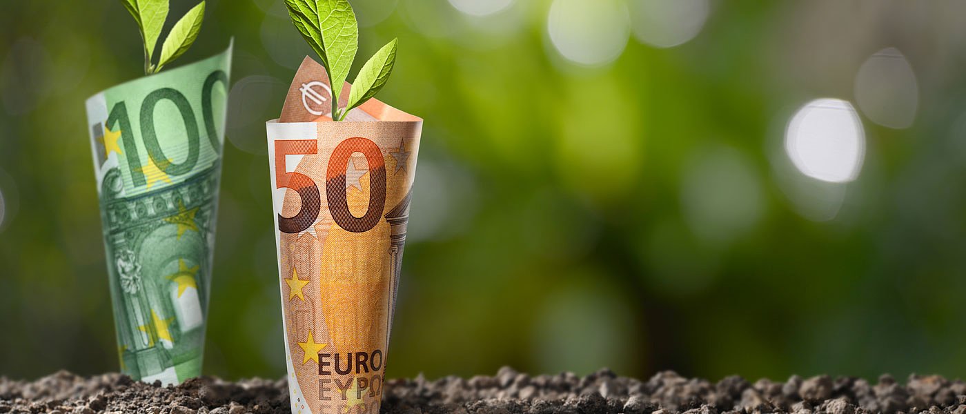 Στο ΦΕΚ συνδεδεμένες ενισχύσεις φυτικής παραγωγής, η τιμή ανά στρέμμα