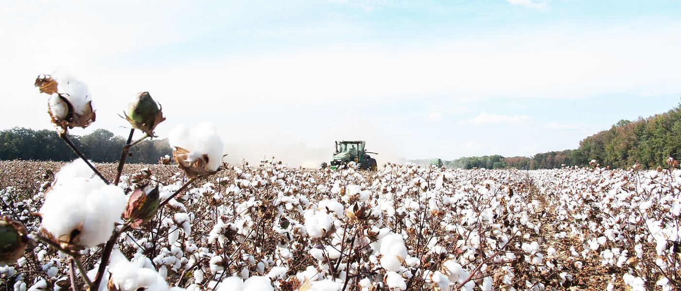 Ο έλεγχος monitoring βγάζει εκτός επιλεξιμότητας πολλά αγροτεμάχια, οργή παραγωγών που χάνουν επιδοτήσεις