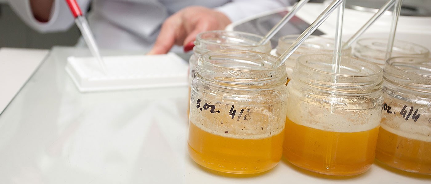 Ελέγχους κατά της νοθείας υπόσχεται το ΥπΑΑΤ, στα 5 ευρώ δεν υπάρχει ελληνικό μέλι