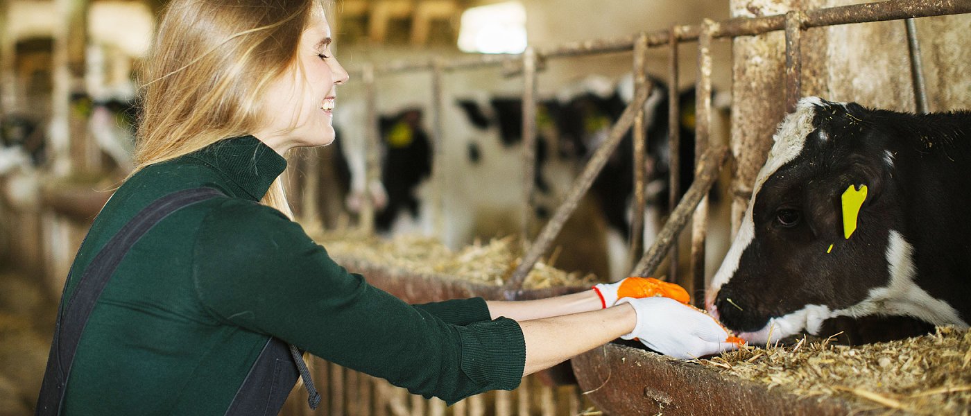 Όλοι οι υπάλληλοι του ΟΠΕΚΕΠΕ πάνε στην ΑΑΔΕ, συνεχίζονται οι έλεγχοι λίγο πριν τις πληρωμές