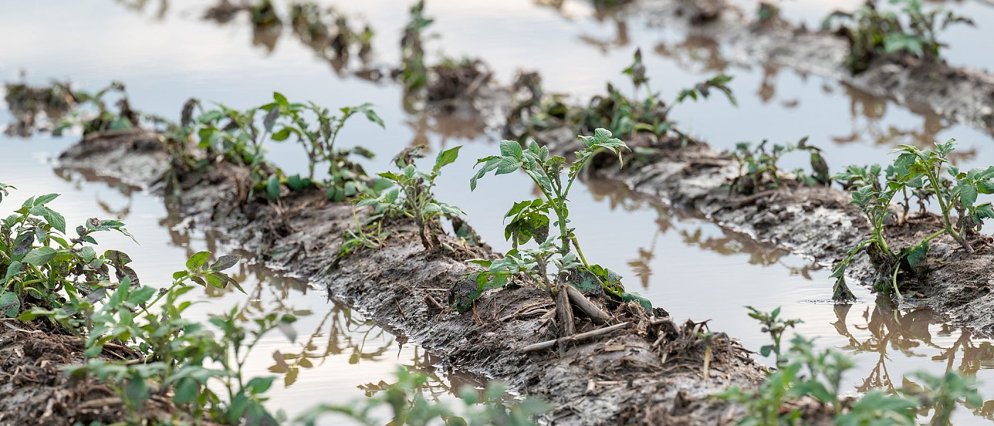 Ευρωπαϊκούς μηχανισμούς αποζημιώσεων για φυσικές καταστροφές και ακραία καιρικά φαινόμενα ζητούν οι χώρες της Μεσογείου