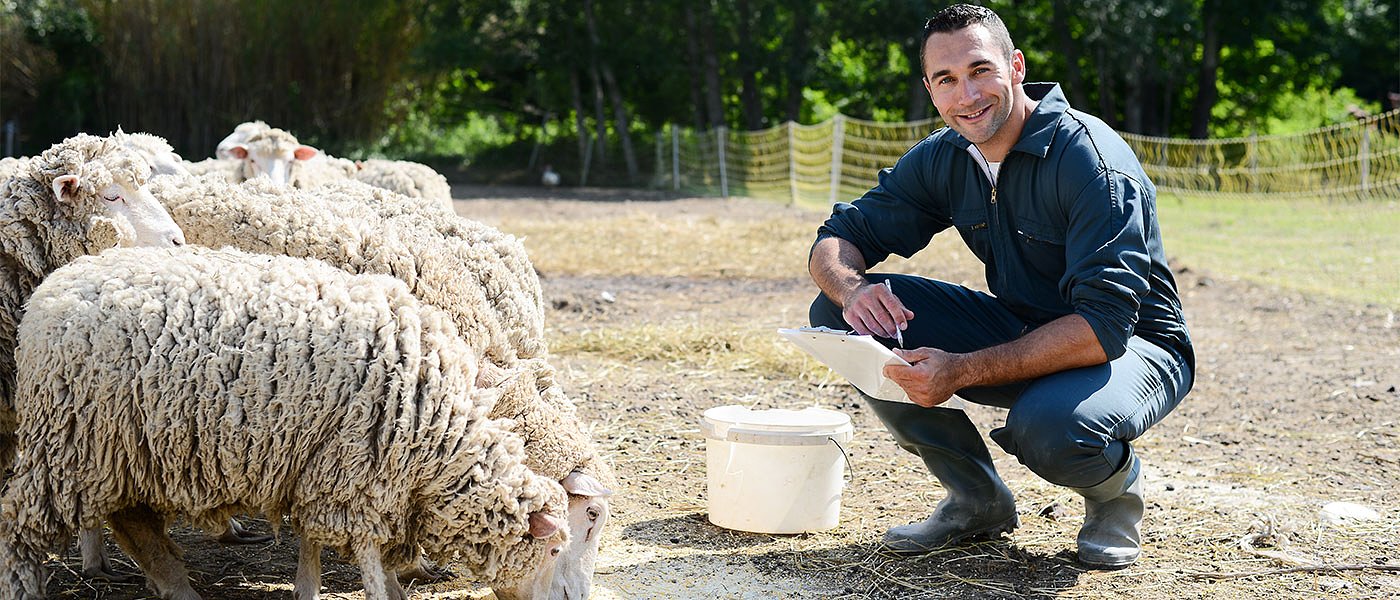 12 ευρώ ανά ζώο η συνδεδεμένη ενίσχυση αιγοπροβάτων στη νέα ΚΑΠ