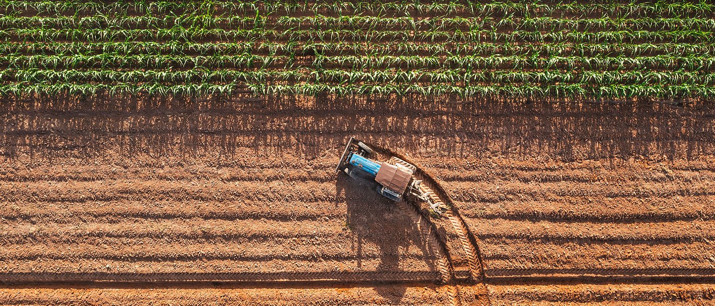 Τι αλλάζει στην άροση και τη διαχείριση κεκλιμένων αγροτεμαχίων – Πρότυπο ΚΓΠΚ 5