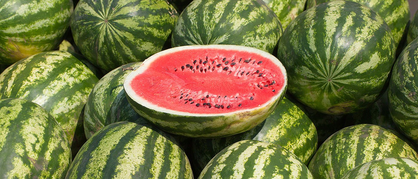 Καρπούζια εξήχθησαν από Ελλάδα στην Ιταλία και τα πουλούσαν σαν «ιταλικά»