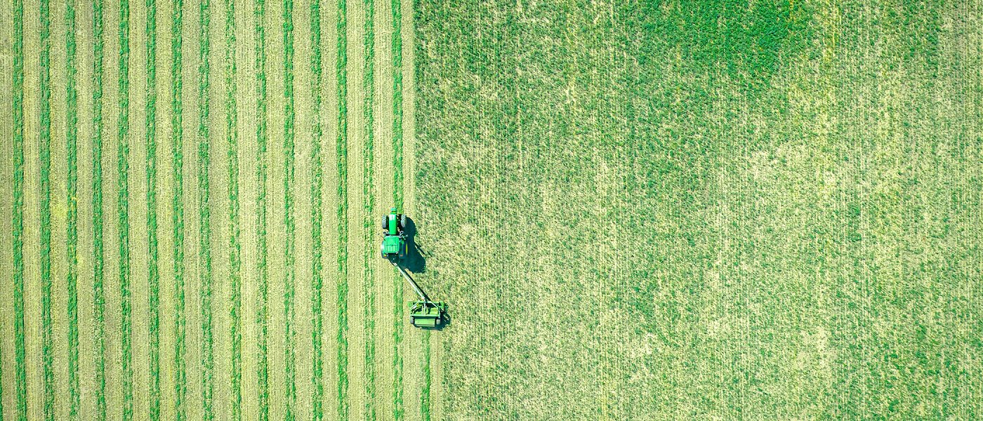 Δεν πληρώνουν de minimis στην μηδική πριν την Πρωτομαγιά, πότε αναμένεται να γίνει πληρωμή