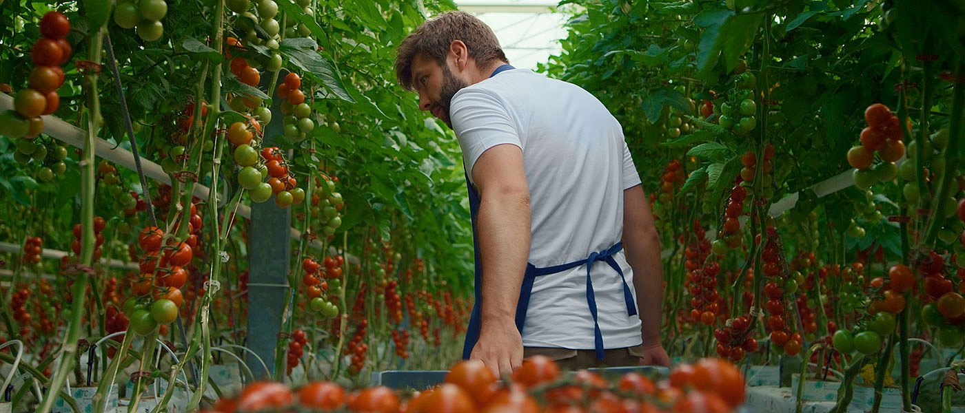 Σχέδια Bελτίωσης 2023, δεν φτάνουν ούτε για 2 στρέμματα θερμοκηπίων