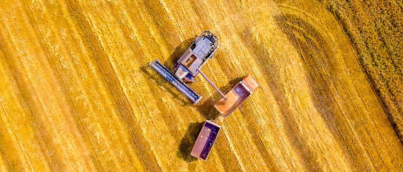 Σιτάρι: Προβλέψεις για την φετινή παραγωγή, την κατανάλωση και τα αποθέματα στην ΕΕ