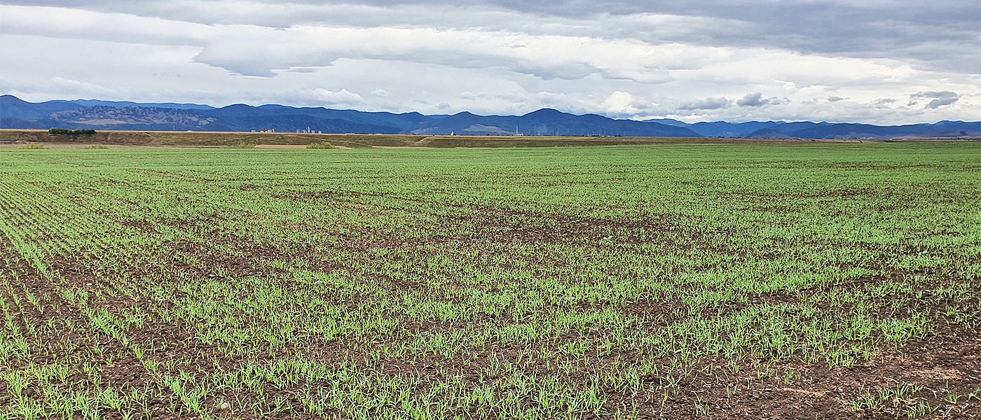 Με μπλοκ στο... τσεκ παραμένουν 2.000 και πλέον άτομα στην Κ. Μακεδονία λόγω ελέγχων