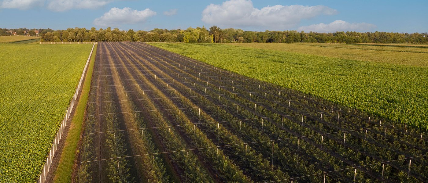 Οδηγία παρακολούθησης του εδάφους για υπολείμματα φυτοφαρμάκων και μικροπλαστικών
