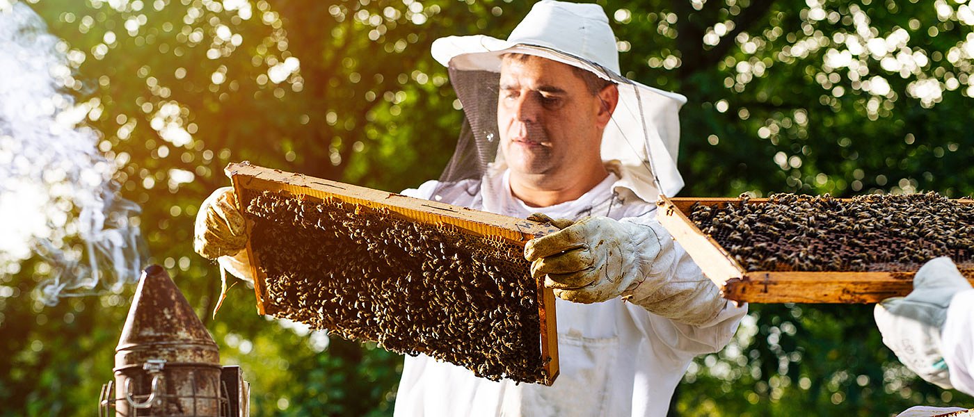 Αιτήσεις για τους μελισσοκόμους, σε ποιες δράσεις «τρέχουν» προθεσμίες
