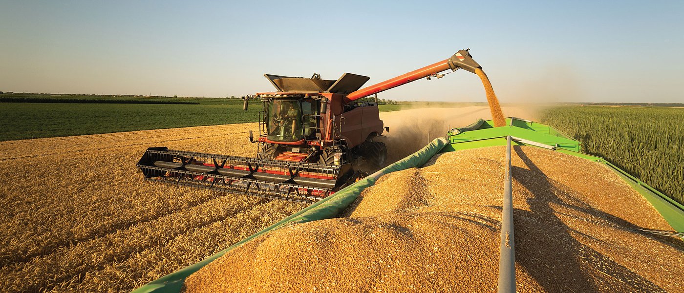 Πενταετής προοπτική για το σιτάρι έως το 2030/31: Σταθερή παραγωγή, αυξανόμενη κατανάλωση, πιο «σφιχτή» ισορροπία