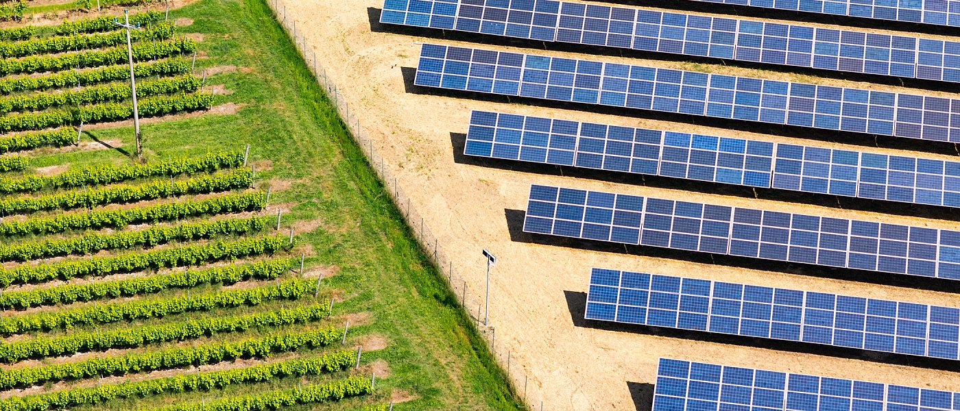 Απειλείται ελληνικός αμπελώνας από ανεξέλεγκτη διασπορά φωτοβολταϊκών - Ποιες προτάσεις κατέθεσε στη Βουλή η πρόεδρος ΕΔΟΑΟ
