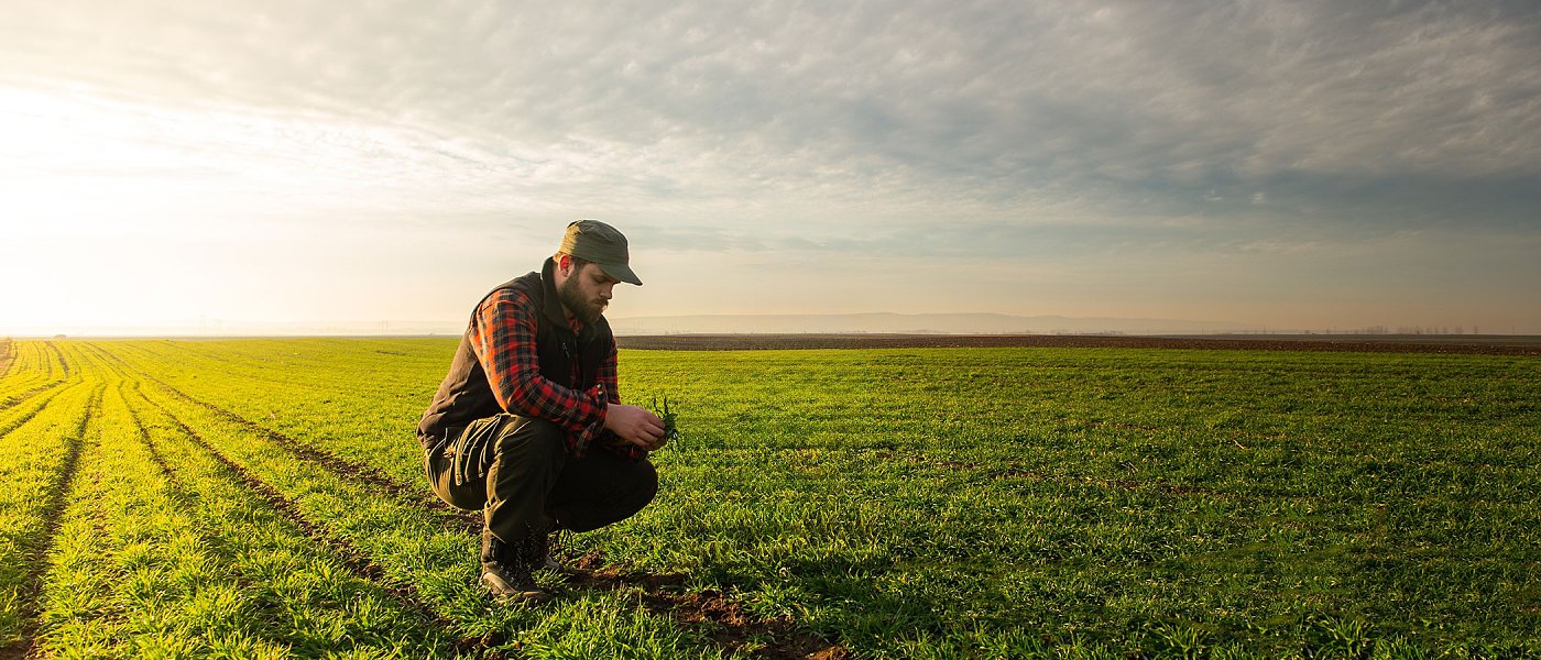 ΕΦΚΑ για ασφαλιστική ικανότητα έως 2027, καταβολή καθυστερούμενων εισφορών δεν συνεπάγεται αυτόματη ανανέωση