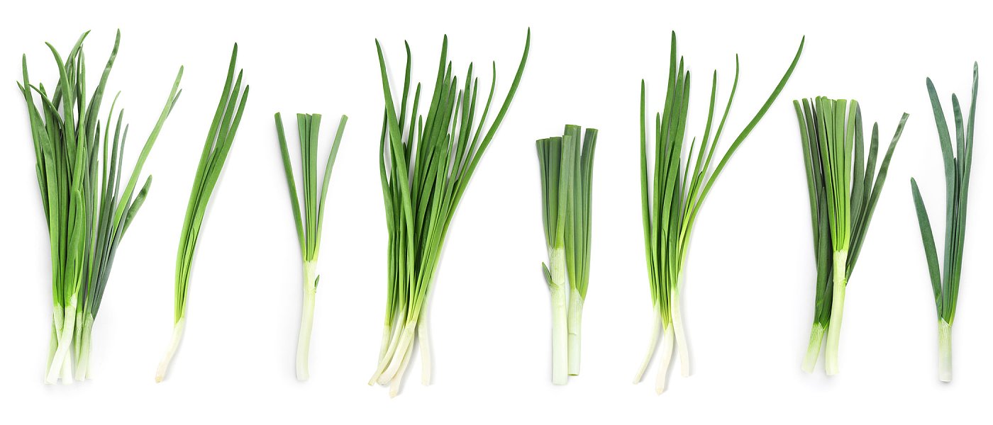 Φρέσκο κρεμμύδι: Σταθερή ζήτηση, αλλά υψηλό κόστος και περιορισμένα περιθώρια