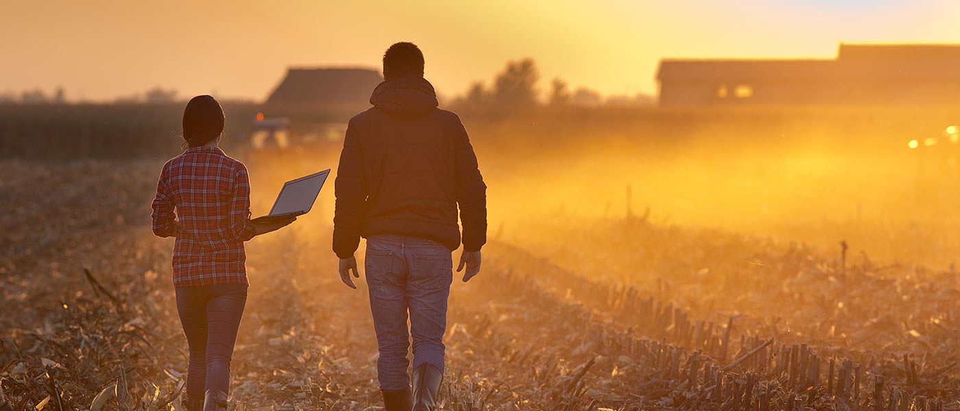 Οργή έφερε η πληρωμή αποζημιώσεων λόγω θεομηνίας, τι καταγγέλλουν οι παραγωγοί