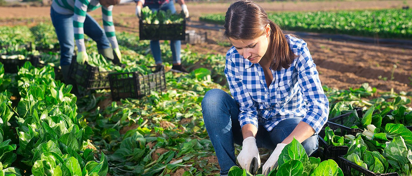 Παρασκευή οι πληρωμές για τους Νέους Αγρότες Κεντρικής Μακεδονίας